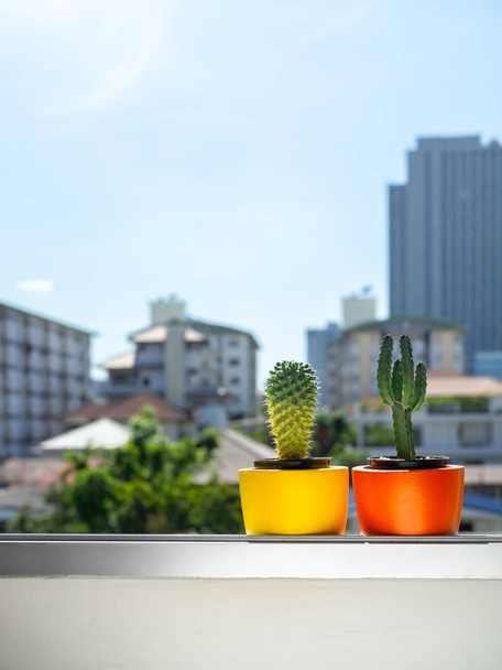 Mooie ronde betonnen plantenbakken met cactus plant. Kleurrijke pa - Foto, afbeelding