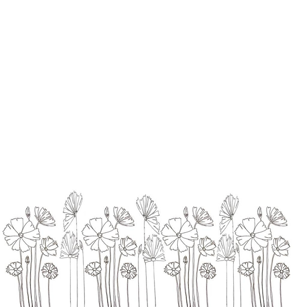 Концепція ілюстрації квітів. Намальовування красивих квітів на білому тлі, декоративні серії з лінією ручки та штрихом пензля, використовуються для квіткового візерунка для тканини, шпалер тощо
. - Фото, зображення