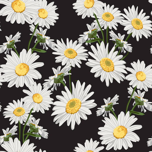 黒の背景にカモミール(カモミール)の花とシームレスなパターン.  - ベクター画像