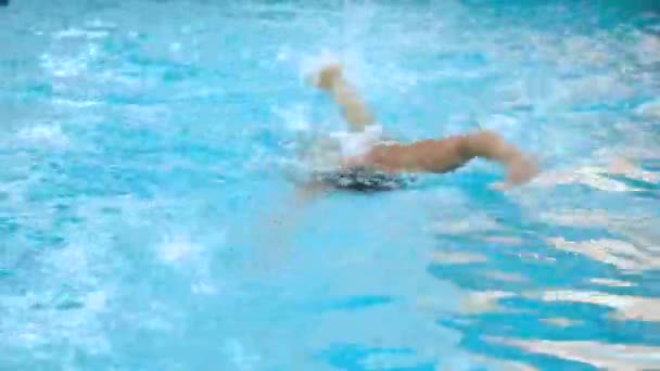 Homme nageant dans la piscine. S'adapter jeune nageur masculin qui entraîne le rampement avant dans une piscine
.  - Séquence, vidéo