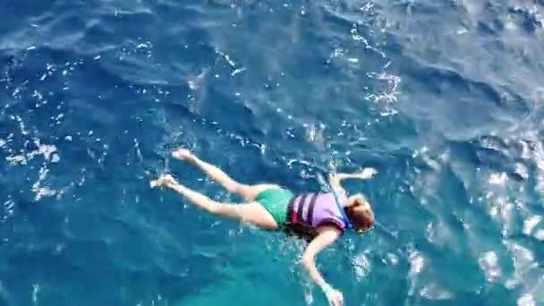 Şnorkel maskesi ve tüple yüzen mayo giymiş genç bir kadın. Kız şnorkelle yüzüyor ve Kızıl Deniz 'de mercan kayalıklarını ve tropikal balıkları izliyor. Su altı dünyası ve deniz yaşamı. Mısır, Afrika - Video, Çekim