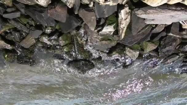 Víz kör ellen a sziklák Roosevelt Island, New York City szemben a Borough of Queens mentén East River. - Felvétel, videó