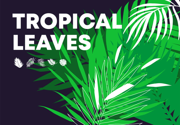 ilustración vectorial de fondo con hojas tropicales - Vector, Imagen