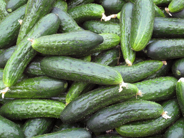 Fresh green cucumbers on the market, top view. - Photo, Image