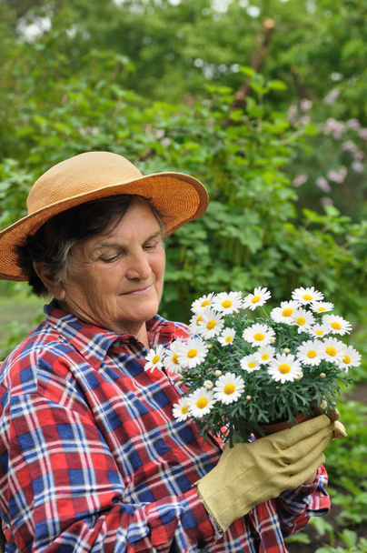 Senior woman gardening - Foto, Bild