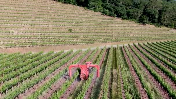 Farm tractor spraying pesticides & insecticides herbicides over green vineyard field. Napa Valley, Napa County, California, USA - Footage, Video
