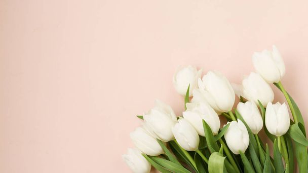 Bouquet of fresh spring white tulips lies on a light pastel background, Copy space - Photo, Image