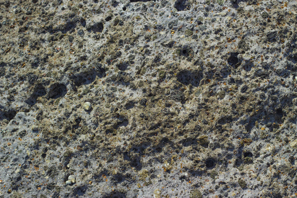 Lava sfondo texture vulcanica con sabbia sabbia sabbia shell roccia piccoli fori
 - Foto, immagini
