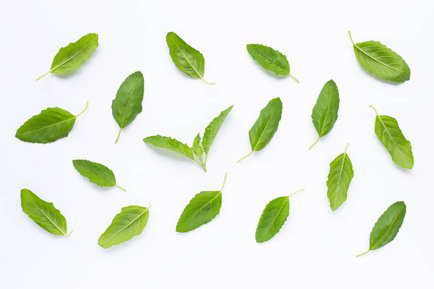 Holy basil  leaves on white  - Foto, afbeelding