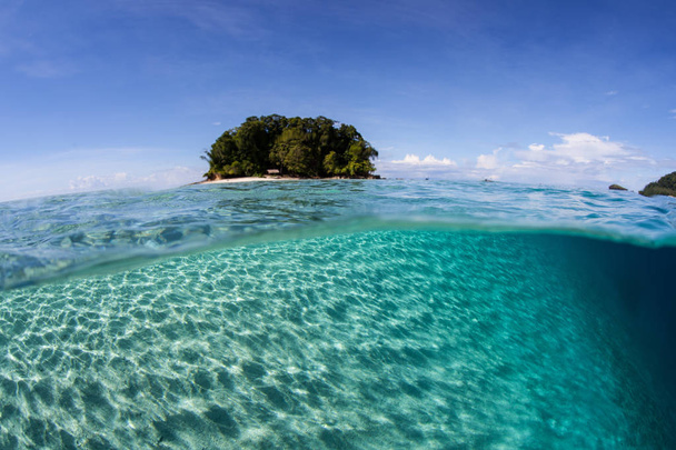 Яркий солнечный свет проносится по мелкому песчаному морскому дну Соломоновых островов. Этот тропический и удаленный регион известен своим удивительным морским биоразнообразием
. - Фото, изображение