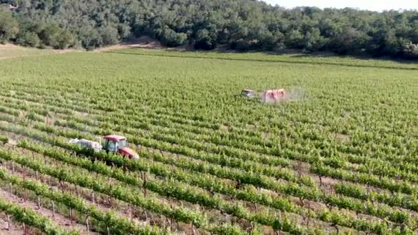 Boerderij trekker spuiten pesticiden & insecticiden herbiciden over groene wijngaard veld. Napa Valley, Napa County, Californië, Verenigde Staten - Video