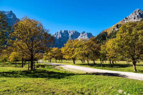 juharfák Ahornboden, a Karwendel-hegység, Tirol, Ausztria - Fotó, kép
