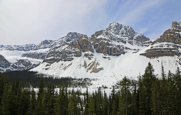 Crowfoot Mountain-Banff National Park, Alberta, Canada - Foto, afbeelding