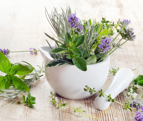 Fresh herbs - Фото, изображение
