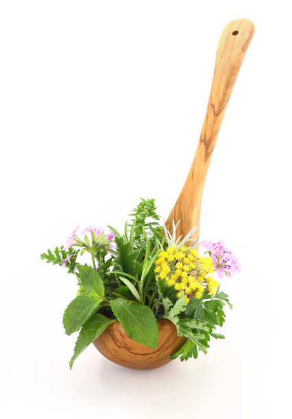 hierbas frescas en cuchara de madera - Foto, Imagen