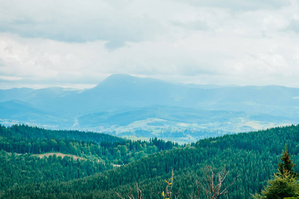 Carpathian mountain ridge - Photo, Image