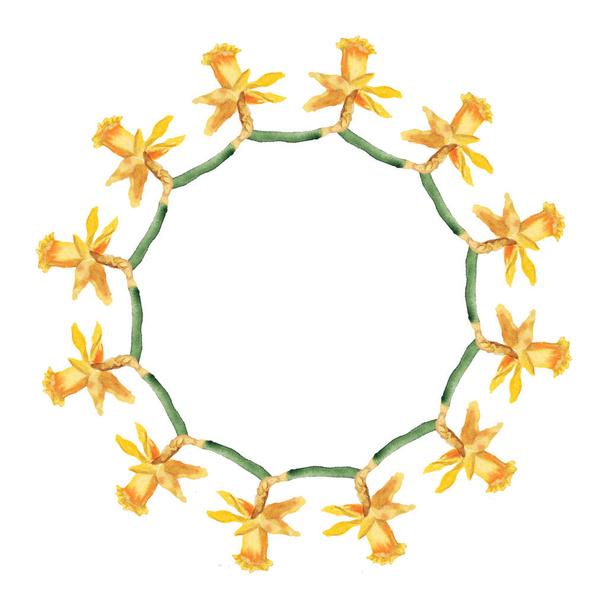 Narcissus flower wreath - Fotoğraf, Görsel