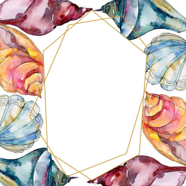 Summer beach seashell tropical underwater elements. Watercolor background illustration set. Watercolour drawing fashion aquarelle isolated. Frame border crystal ornament square. - Photo, Image