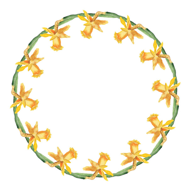 Narcissus flower wreath - Fotoğraf, Görsel