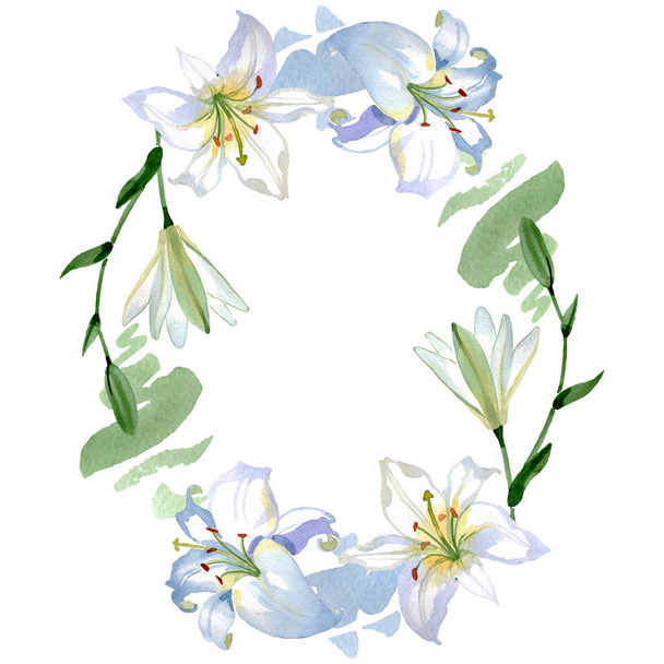 Fehér liliom virágos botanikus virágok. Vad tavaszi levél vadvirág elszigetelt. Akvarell háttér illusztráció meg. Akvarell rajz divat Aquarelle. Keretszegély Dísz tér. - Fotó, kép