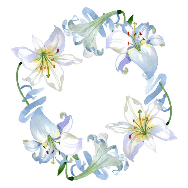 White lily floral botanical flowers. Wild spring leaf wildflower isolated. Watercolor background illustration set. Watercolour drawing fashion aquarelle. Frame border ornament square. - Fotografie, Obrázek