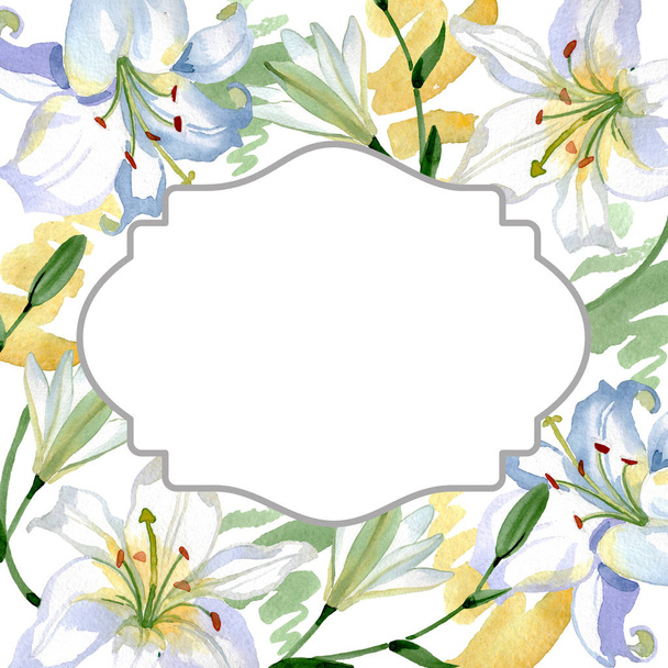 白いユリの花の植物の花。野生の春の葉の野生の花が孤立しました。●水彩背景イラストセット。水彩画ファッションアクアレル。フレームボーダーオーナメント正方形. - 写真・画像