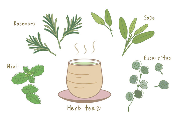 Σετ τσάι από βότανα/ζεστό τσάι και ασιατικό φλιτζάνι - Διάνυσμα, εικόνα