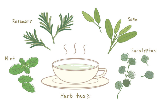 Σετ τσάι από βότανα/ζεστό τσάι και Κύπελλο - Διάνυσμα, εικόνα