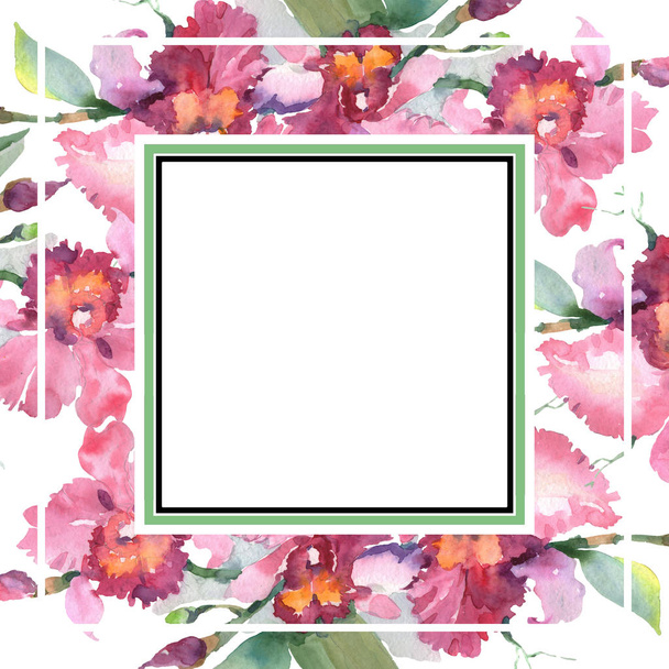 ピンクの蘭の花束花の植物の花。野生の春の葉の野生の花が孤立しました。●水彩背景イラストセット。水彩画ファッションアクアレル。フレームボーダーオーナメント正方形. - 写真・画像