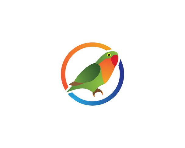 Papageienvogel Logo  - Vektor, Bild