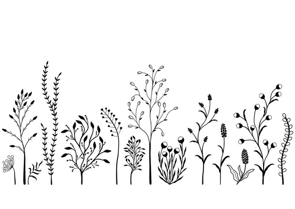 Set of wild plants, Black and white illustration. - Вектор,изображение
