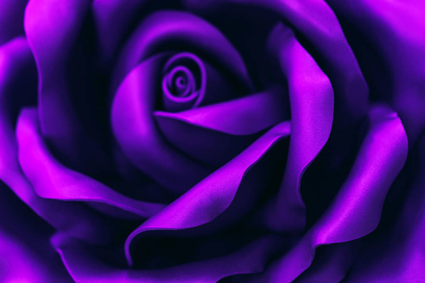 Beautiful ultraviolet flower made of synthetic material . Abstract backgroun - Foto, imagen