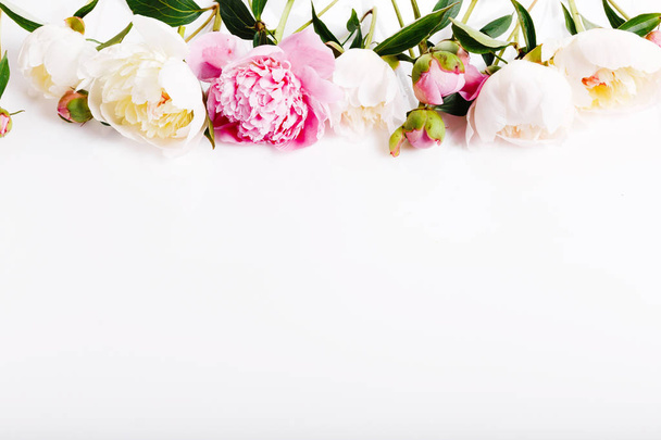 Delicata peonia rosa bianca con petali di fiori su bianco. Vista dall'alto, piatta. Copia spazio
. - Foto, immagini
