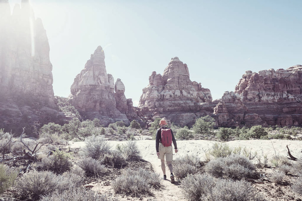 Wanderung in den Bergen von Utah. Wandern in ungewöhnlichen Naturlandschaften. Fantastische Formen Sandsteinformationen. - Foto, Bild
