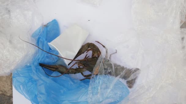Říční zvíře se nemůže dostat z hromady plastových odpadků - Záběry, video