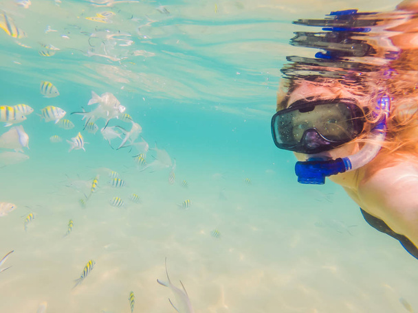 Szczęśliwa Kobieta w nurkowaniu maska nurkowania podwodne z tropikalnych ryb w basenie Morza Koralowego rafy. Styl życia podróży, sporty wodne przygoda na świeżym powietrzu, lekcje pływania na letnich wakacji na plaży - Zdjęcie, obraz