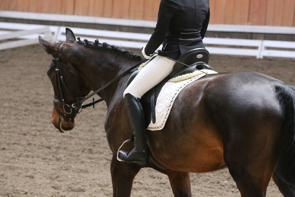 Desconhecido competidor passeios em dressage cavalo evento no chão de equitação
 - Foto, Imagem