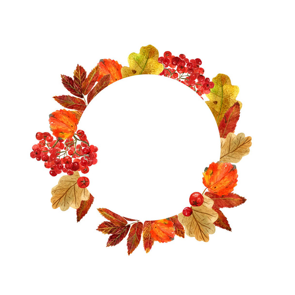 Watercolor round frame with autumn leaves and berries. Background with fall foliage, rowanberries and  place for tex - Photo, Image