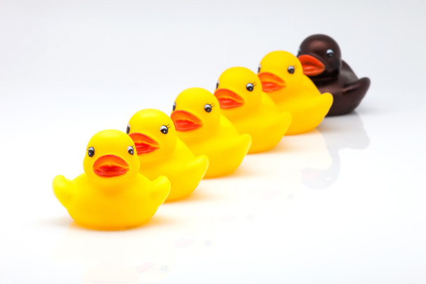 rubber ducks - Photo, Image