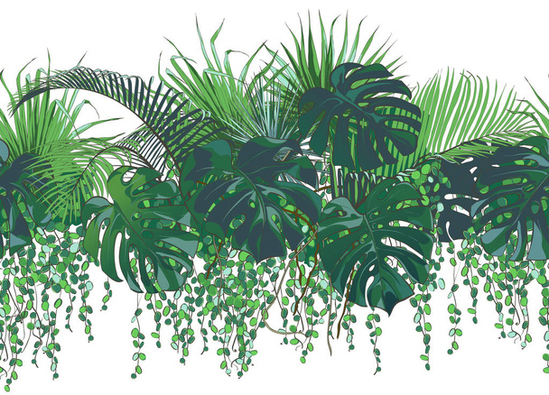 Vector Tropical palms, plants, leaf, foliage, monstera - Vector, Image
