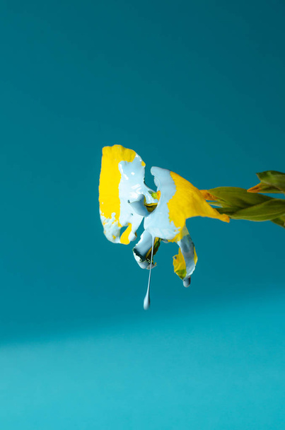 Iris amarillo con pintura azul que baja de él
. - Foto, Imagen