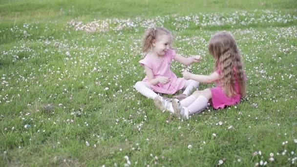 Twee mooie kleine meisjes in roze glimlachend op de camera. - Video