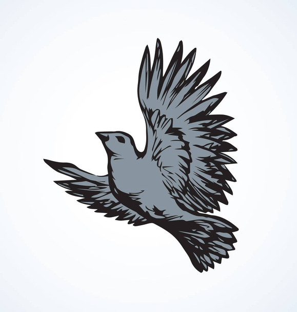 Vector drawing. Small titmouse - Vector, Image
