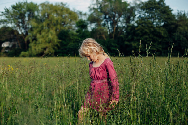 Cute adorable beautiful preschool Caucasian girl walking in tall high grass on meadow at sunset. Happy child kid enjoying summer. Lifestyle authentic childhood. Village rustic rural life. - Foto, imagen