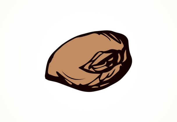 Плоды какао. Векторный рисунок
 - Вектор,изображение