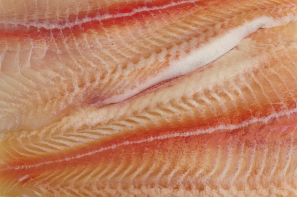 Raw fish fillet - Photo, Image