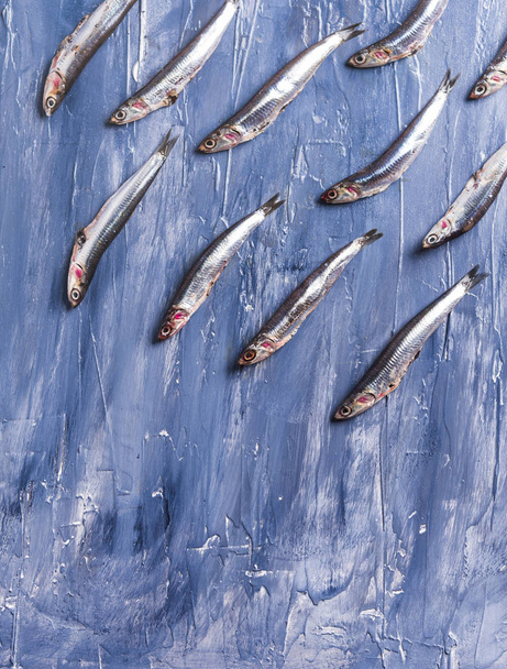 Fish pattern. Fresh anchovies on blue - Foto, afbeelding