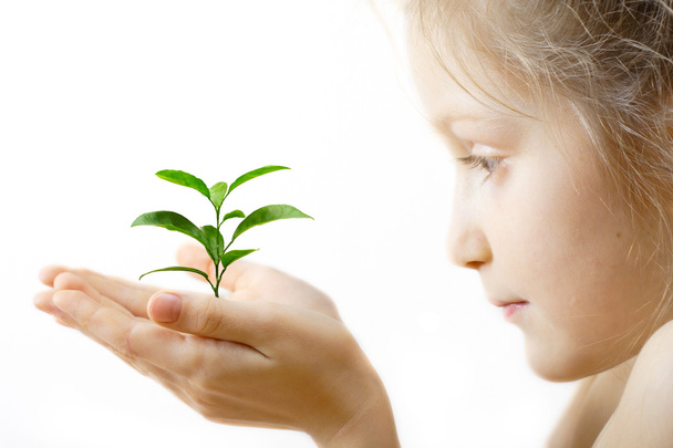 Child holding a sprout - Photo, Image