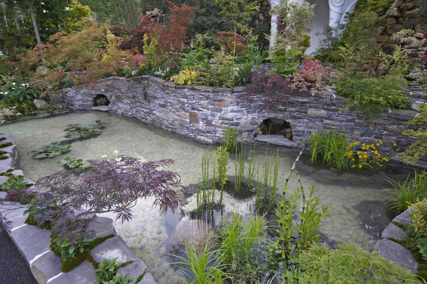 Ένα όμορφο Paradise ιαπωνικό υδάτινο κήπο για να εμπνεύσει αναμνήσεις - Φωτογραφία, εικόνα