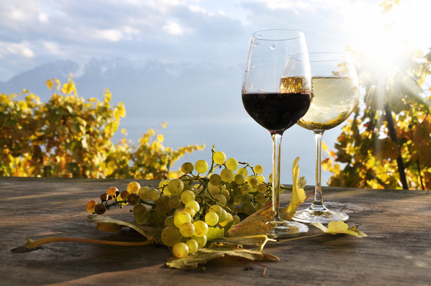 paar wijnglazen en tros druiven. Lavaux-gebied, Zwitserland - Foto, afbeelding